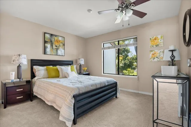 a bedroom with a bed and a window