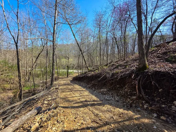 $90,000 | 0 Highway 50, Centerville, TN 37033