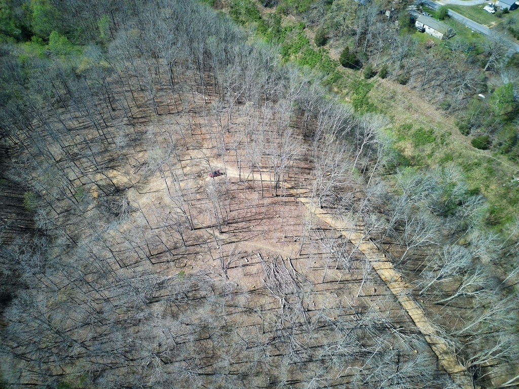 0 Highway 50 Centerville, TN 37033 - Photo 14 of 43 a view of a yard