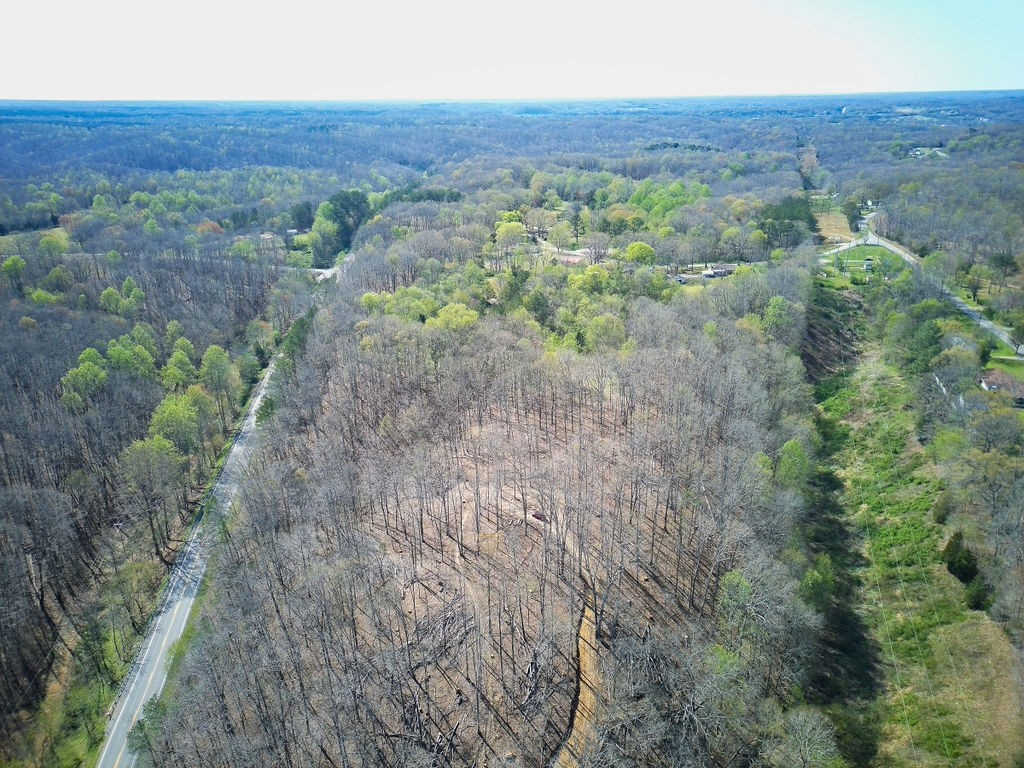 0 Highway 50 Centerville, TN 37033 - Photo 15 of 43 a view of a large yard with lots of trees
