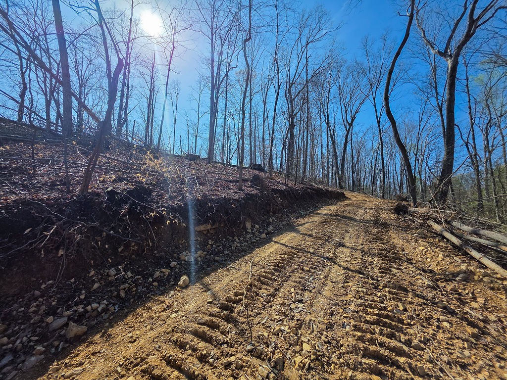 0 Highway 50 Centerville, TN 37033 - Photo 16 of 43 a view of a backyard of the house