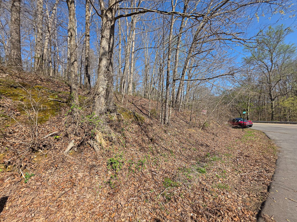 0 Highway 50 Centerville, TN 37033 - Photo 19 of 43 a view of yard with large trees
