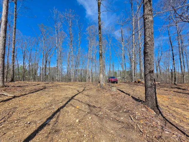 a view of a dry yard