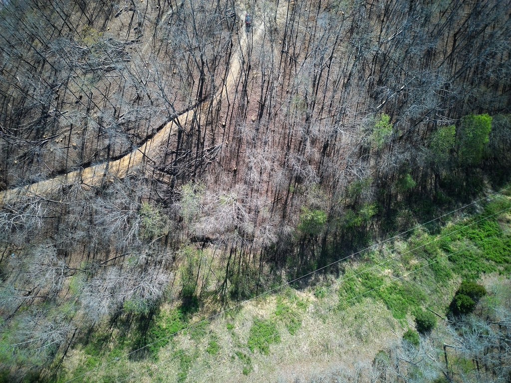 0 Highway 50 Centerville, TN 37033 - Photo 21 of 43 a view of a yard with a tree