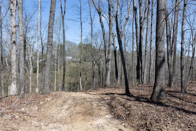 a view of a backyard of the house