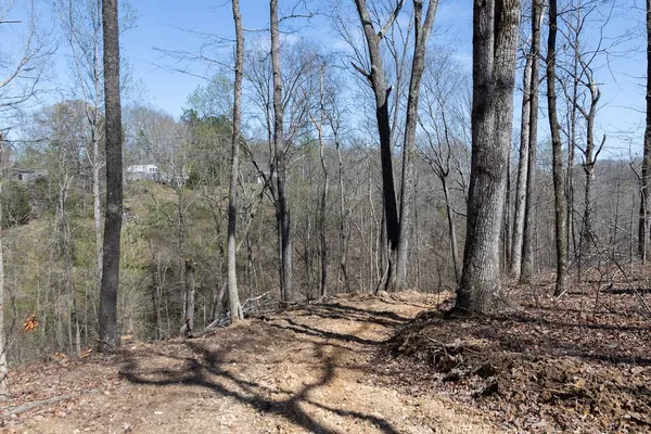 $90,000 | 0 Highway 50, Centerville, TN 37033