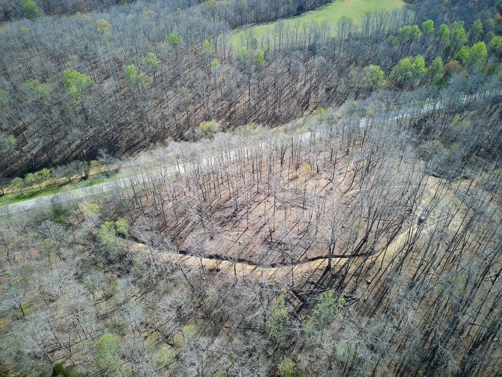 0 Highway 50 Centerville, TN 37033 - Photo 24 of 43 a view of a dry yard