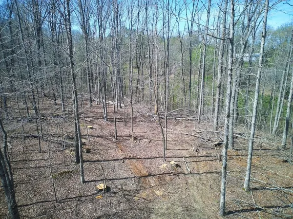 $90,000 | 0 Highway 50, Centerville, TN 37033