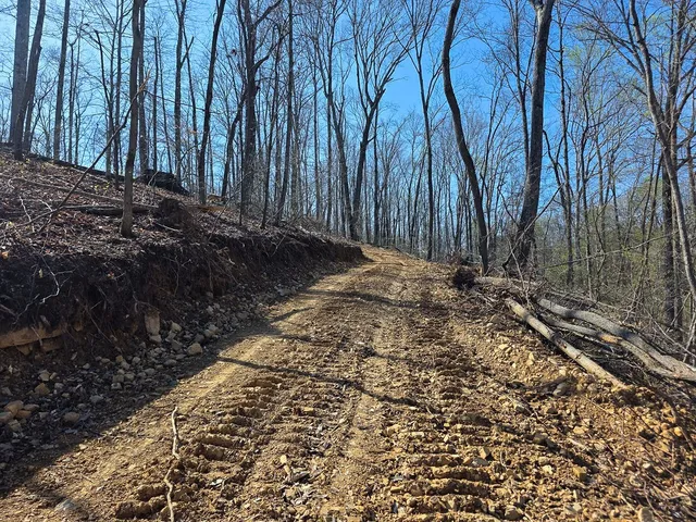 a view of a backyard with large trees and wooden fence