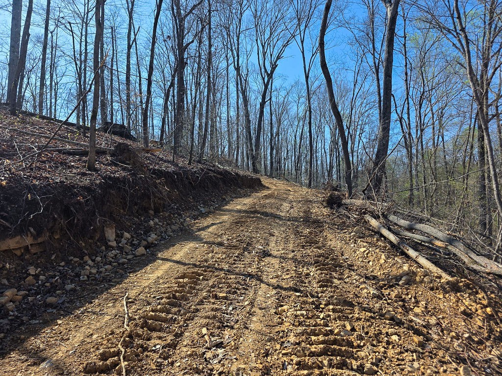 0 Highway 50 Centerville, TN 37033 - Photo 26 of 43 a view of a backyard of the house