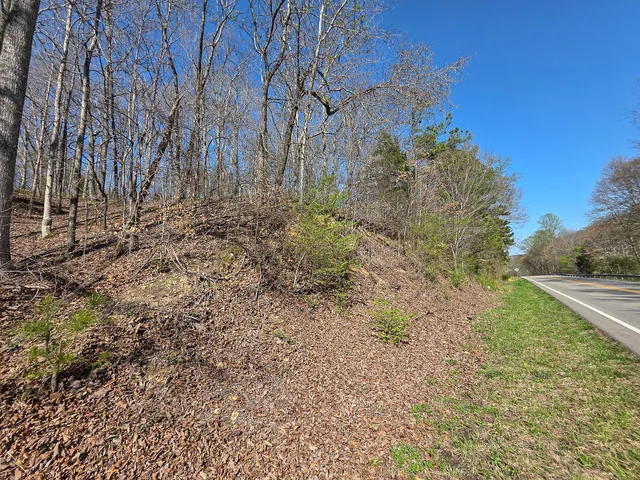 a view of a dry yard
