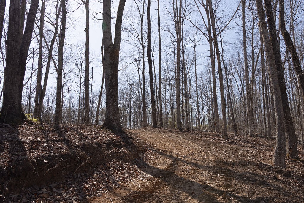 0 Highway 50 Centerville, TN 37033 - Photo 28 of 43 a view of wooden fence with trees