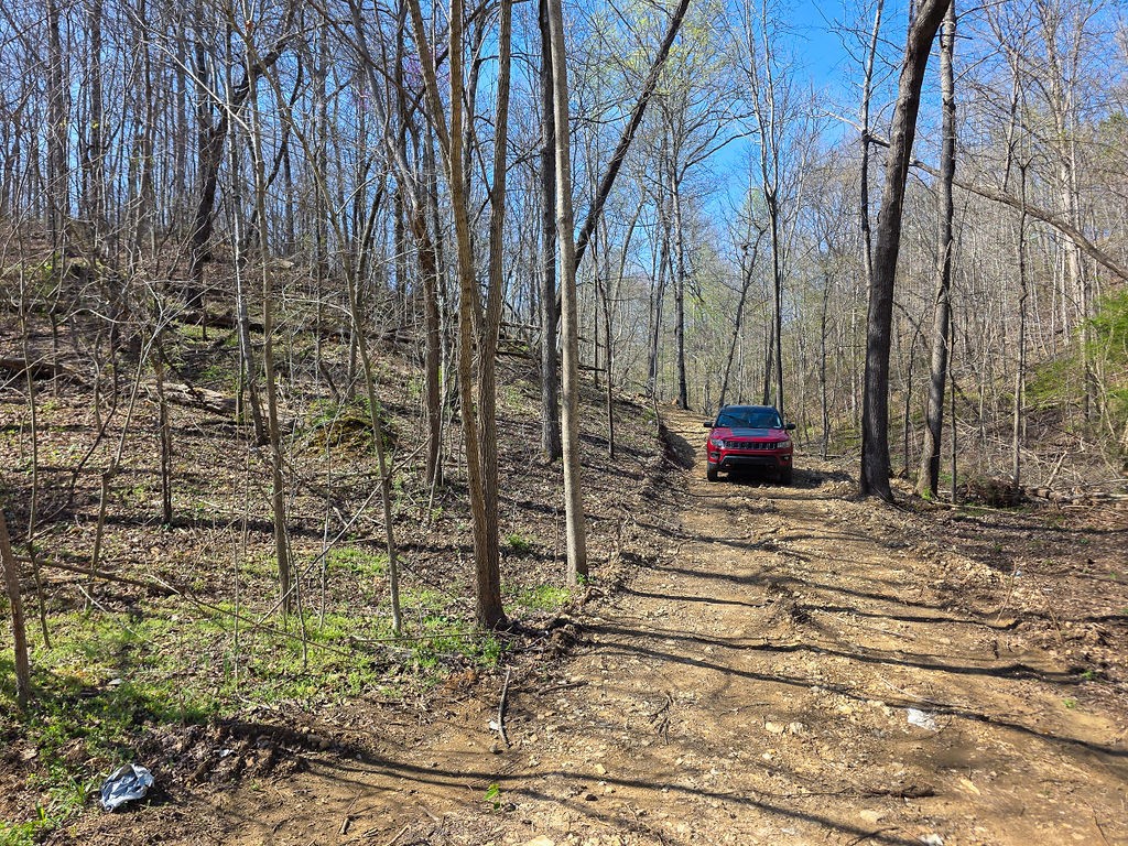 0 Highway 50 Centerville, TN 37033 - Photo 3 of 43 a view of tall trees with a yard