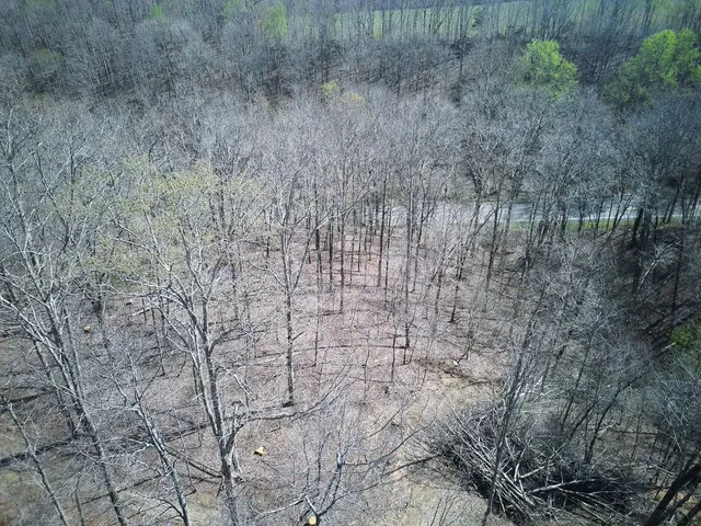 a view of valleys with trees in background