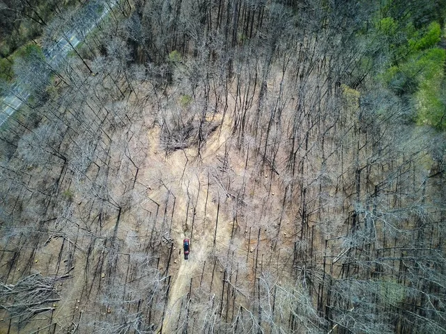 a view of a backyard of the house