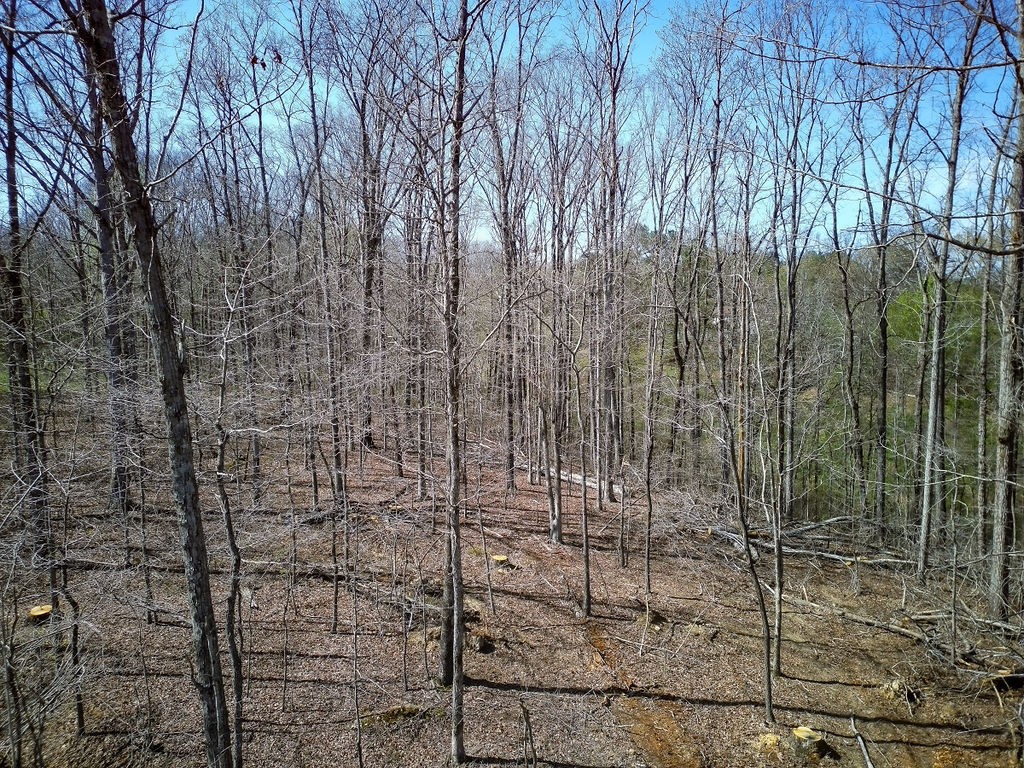 0 Highway 50 Centerville, TN 37033 - Photo 34 of 43 a bathroom with a shower