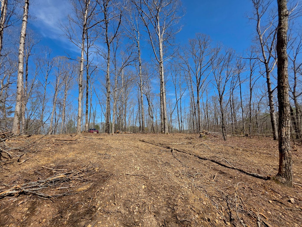 0 Highway 50 Centerville, TN 37033 - Photo 38 of 43 a view of a backyard of the house