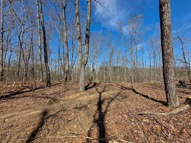 $106,900 | 0 Highway 50, Centerville, TN 37033