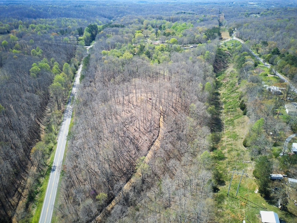 0 Highway 50 Centerville, TN 37033 - Photo 40 of 43 a view of a yard with plants and a tree