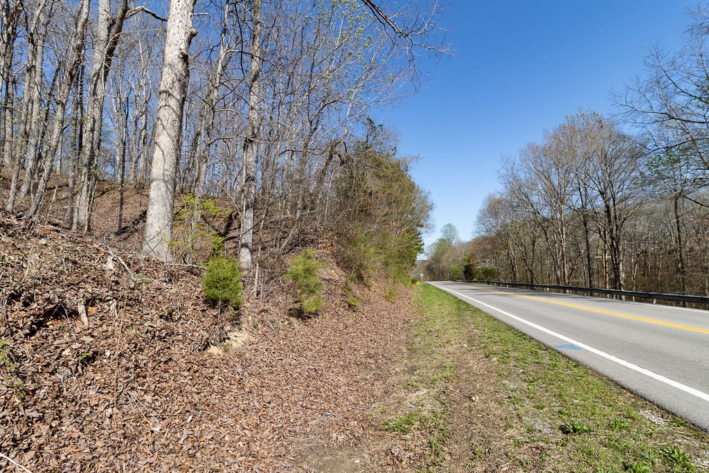 0 Highway 50 Centerville, TN 37033 - Photo 4 of 43 a view of a yard with plants and trees