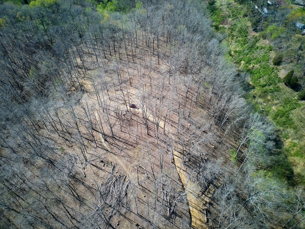 0 Highway 50 Centerville, TN 37033 - Photo 41 of 43 a view of a dry yard with trees all around