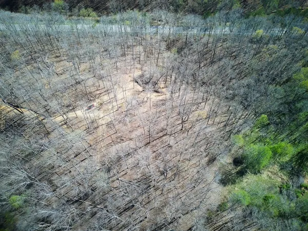 $90,000 | 0 Highway 50, Centerville, TN 37033