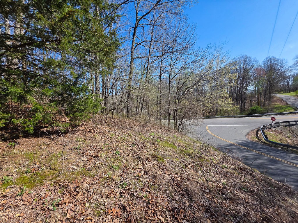 0 Highway 50 Centerville, TN 37033 - Photo 43 of 43 a view of backyard with green space