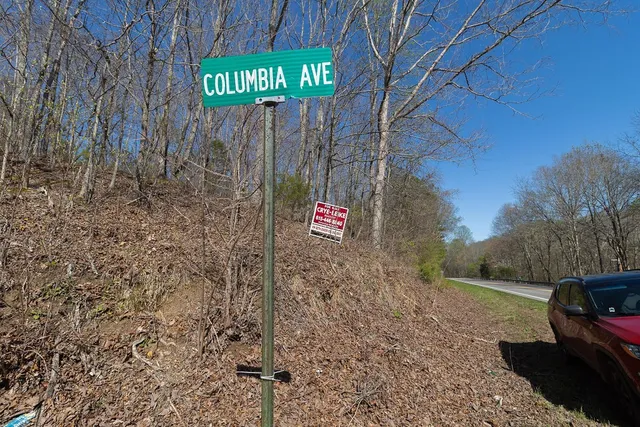 a view of a backyard