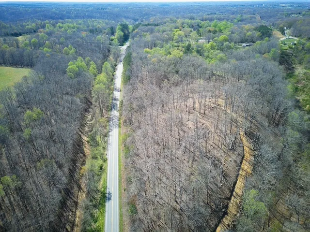 a view of a yard with trees