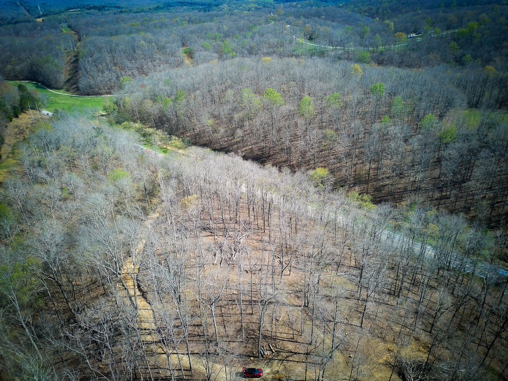 0 Highway 50 Centerville, TN 37033 - Photo 9 of 43