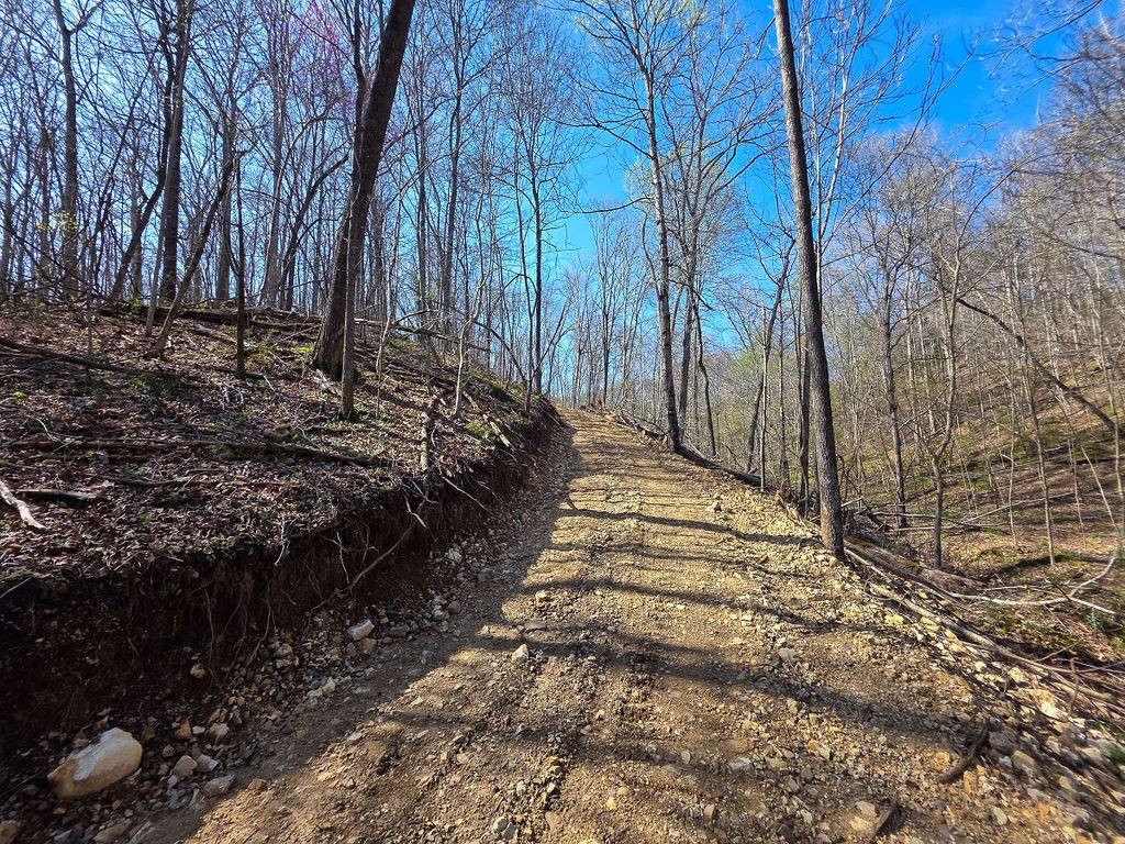 0 Highway 50 Centerville, TN 37033 - Photo 10 of 43 a view of a yard with trees