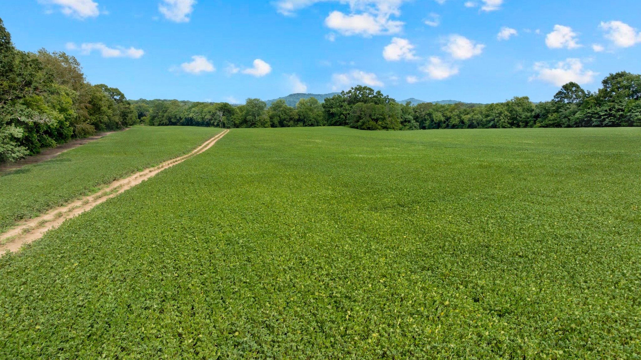 0 South Commerce Road Watertown, TN 37184 - Photo 23 of 37 Gallery Image 23