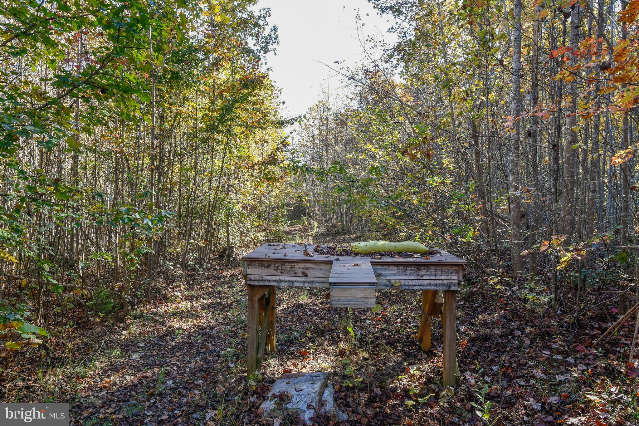 5911 Block House Road Partlow, VA 22534 - Photo 25 of 42 100+ yard shooting range w/backstop!