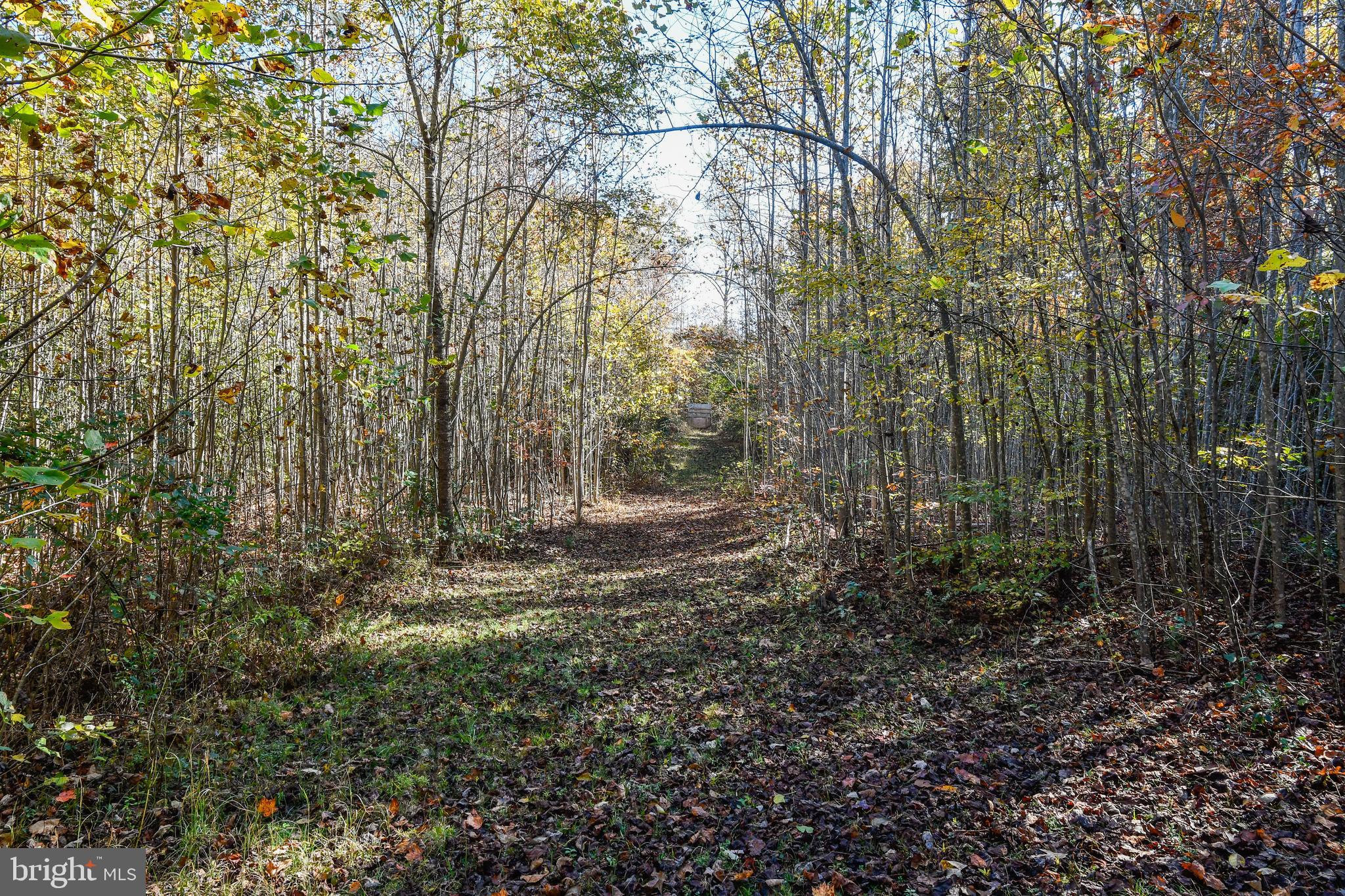 5911 Block House Road Partlow, VA 22534 - Photo 26 of 42 100 plus yard shooting range!