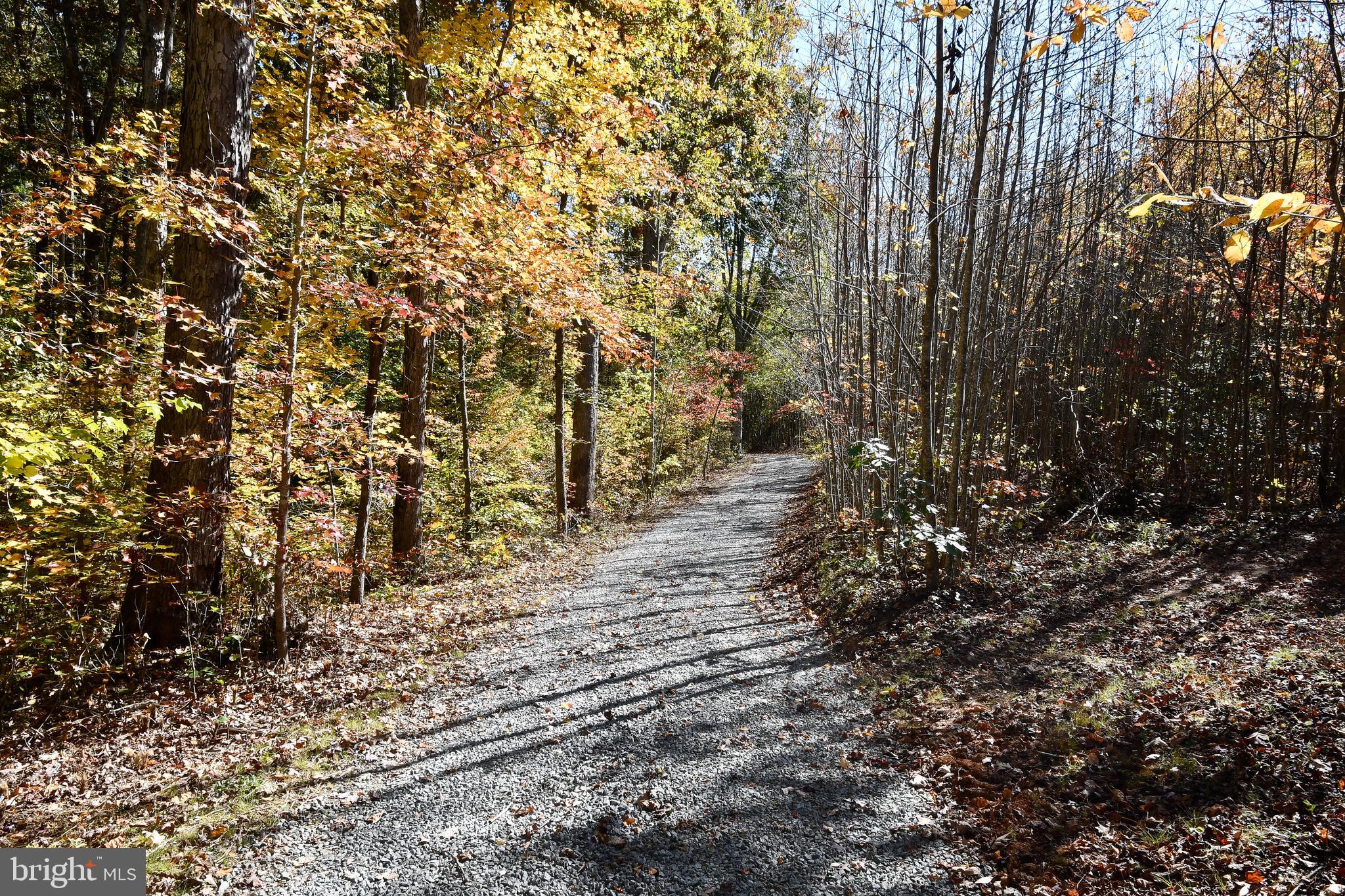 5911 Block House Road Partlow, VA 22534 - Photo 35 of 42 long driveway so house sits well off the road