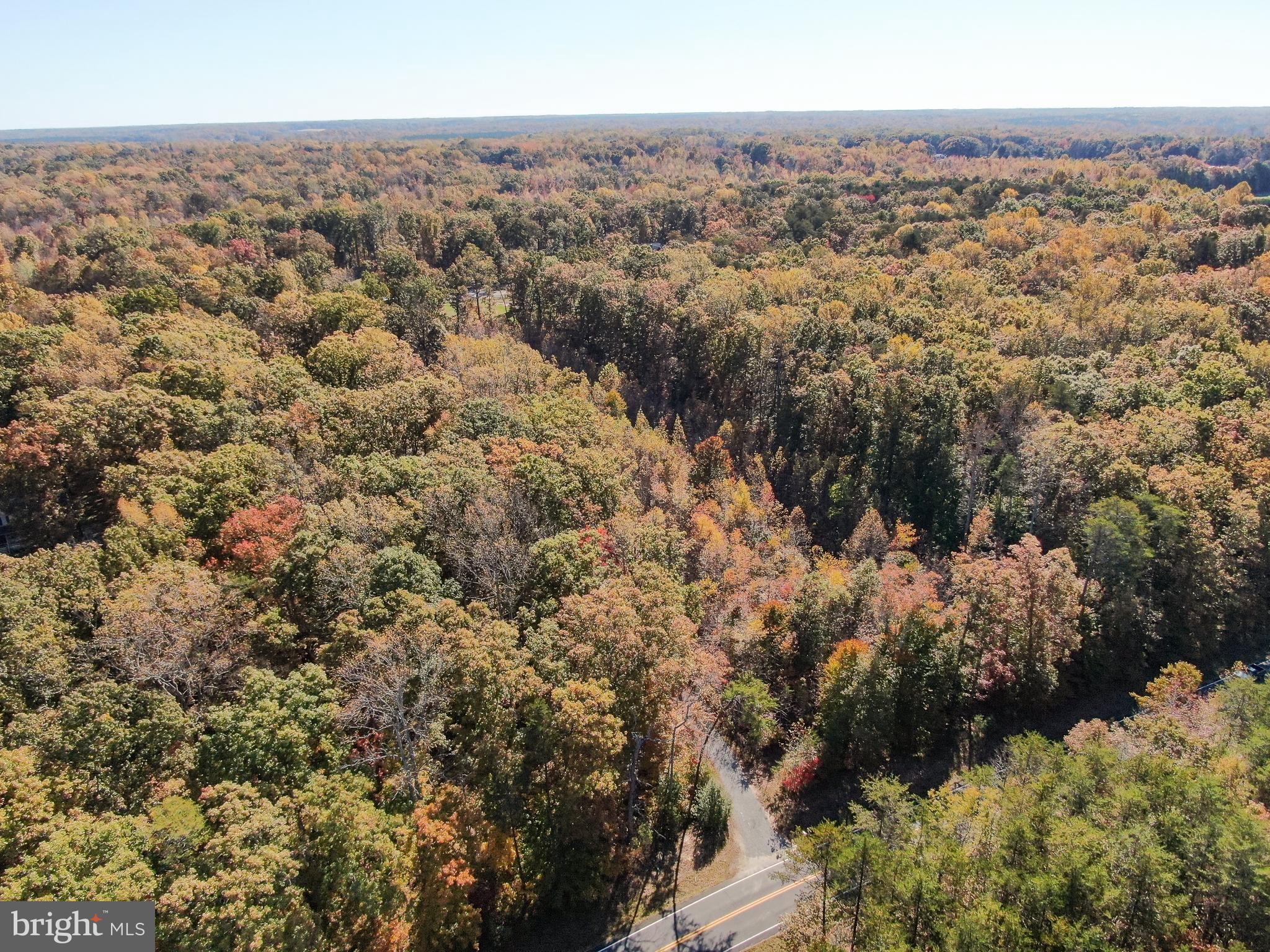 5911 Block House Road Partlow, VA 22534 - Photo 36 of 42 5 gorgeousprivate acres !