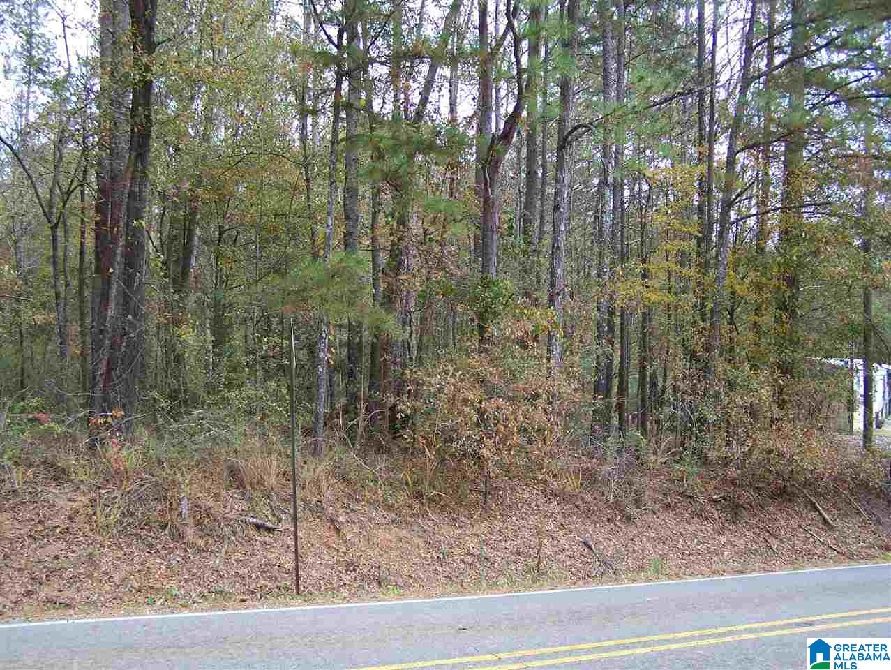 1 Cottaquilla Road Jacksonville, AL 36265 - Photo 3 of 8