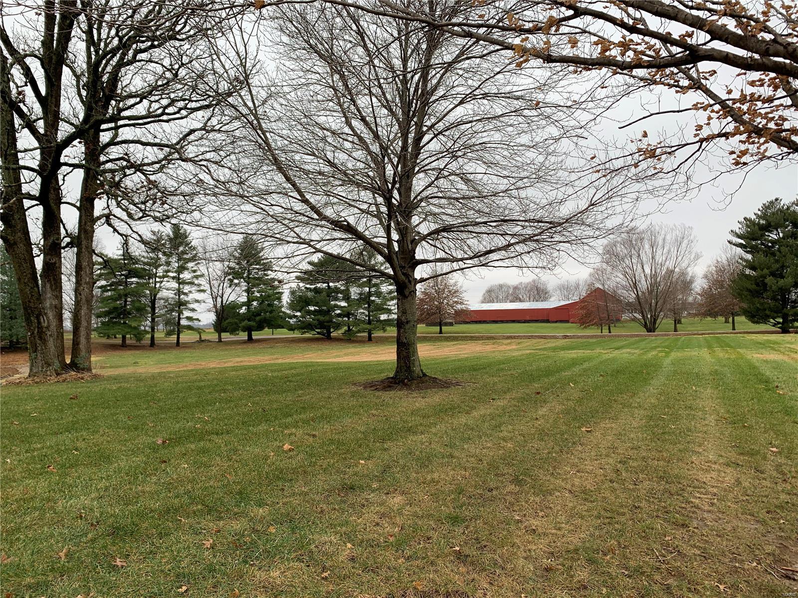 5664 Renken Road Dorsey, IL 62021 - Photo 3 of 46