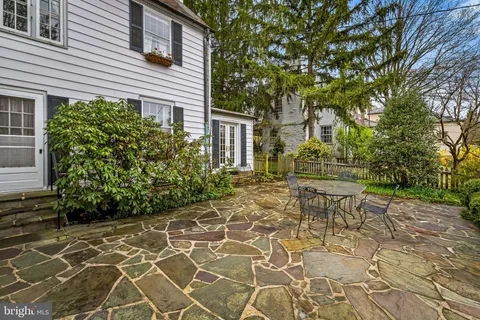 a view of a garden with plants and large trees