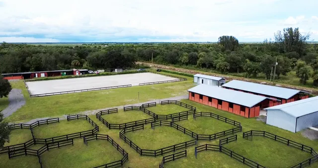 a view of a swimming pool with a patio and a garden