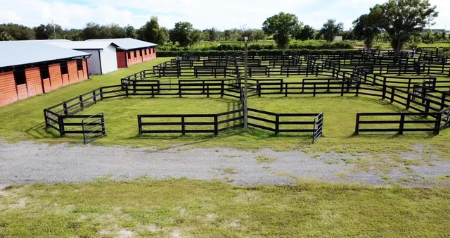 a view of a bench in the backyard