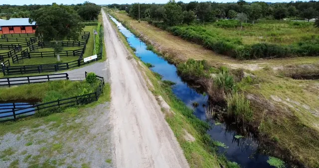 a view of a yard with plants