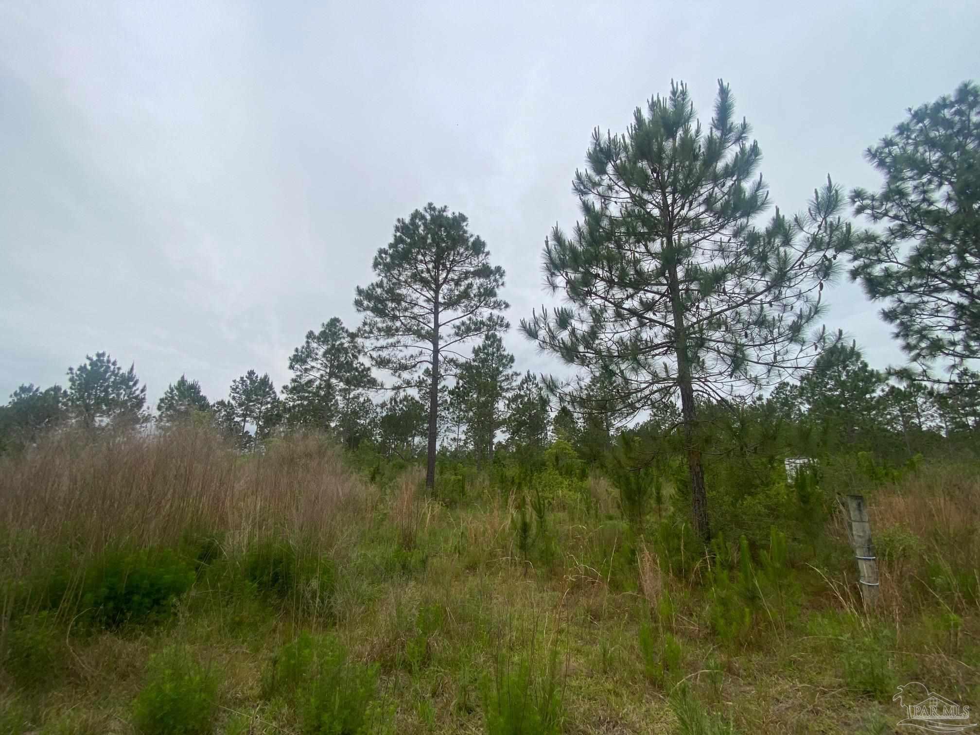 0 Walther Road Milton, FL 32570 - Photo 5 of 11 a view of lake with green space