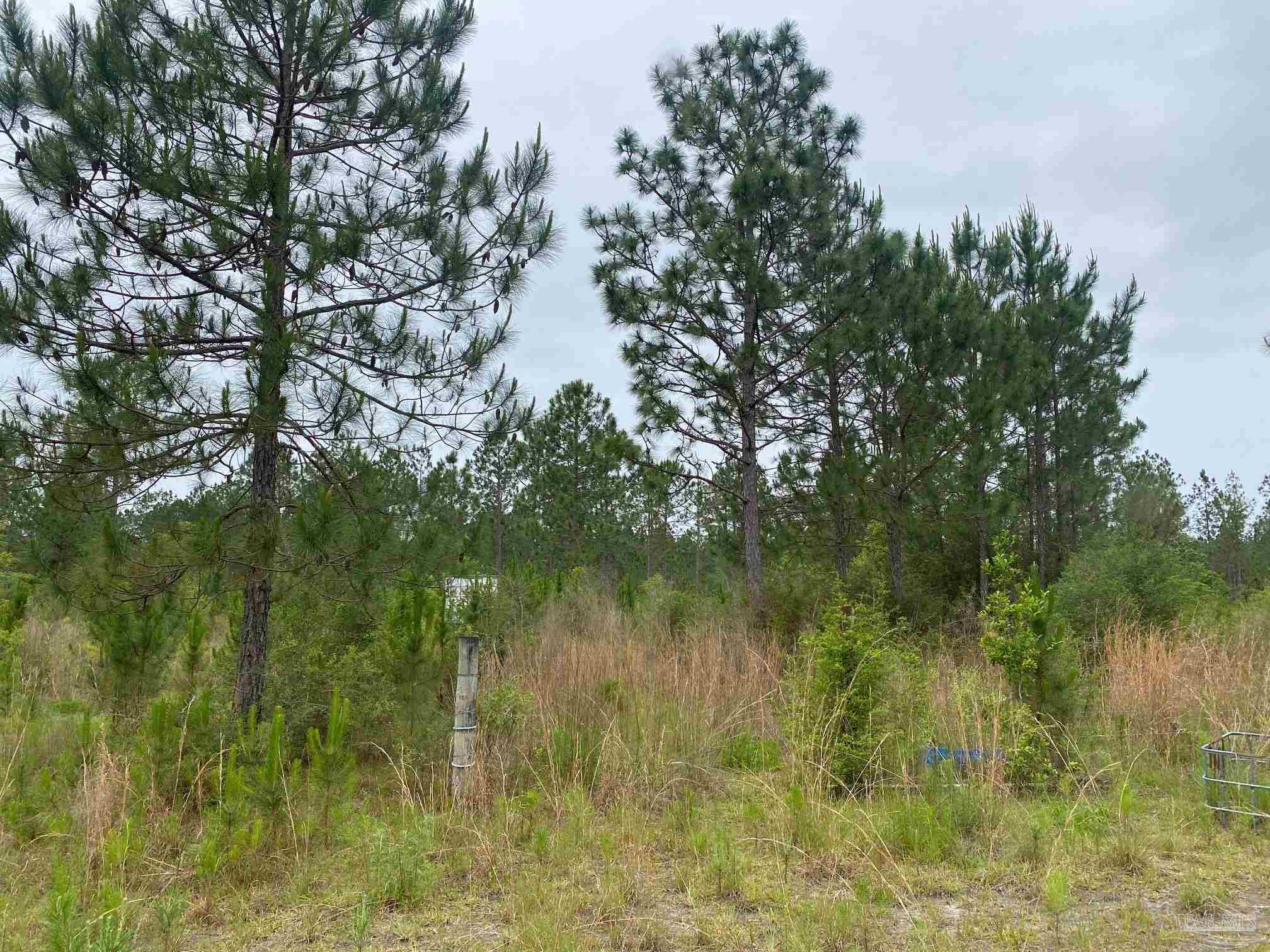 0 Walther Road Milton, FL 32570 - Photo 6 of 11 a view of lake