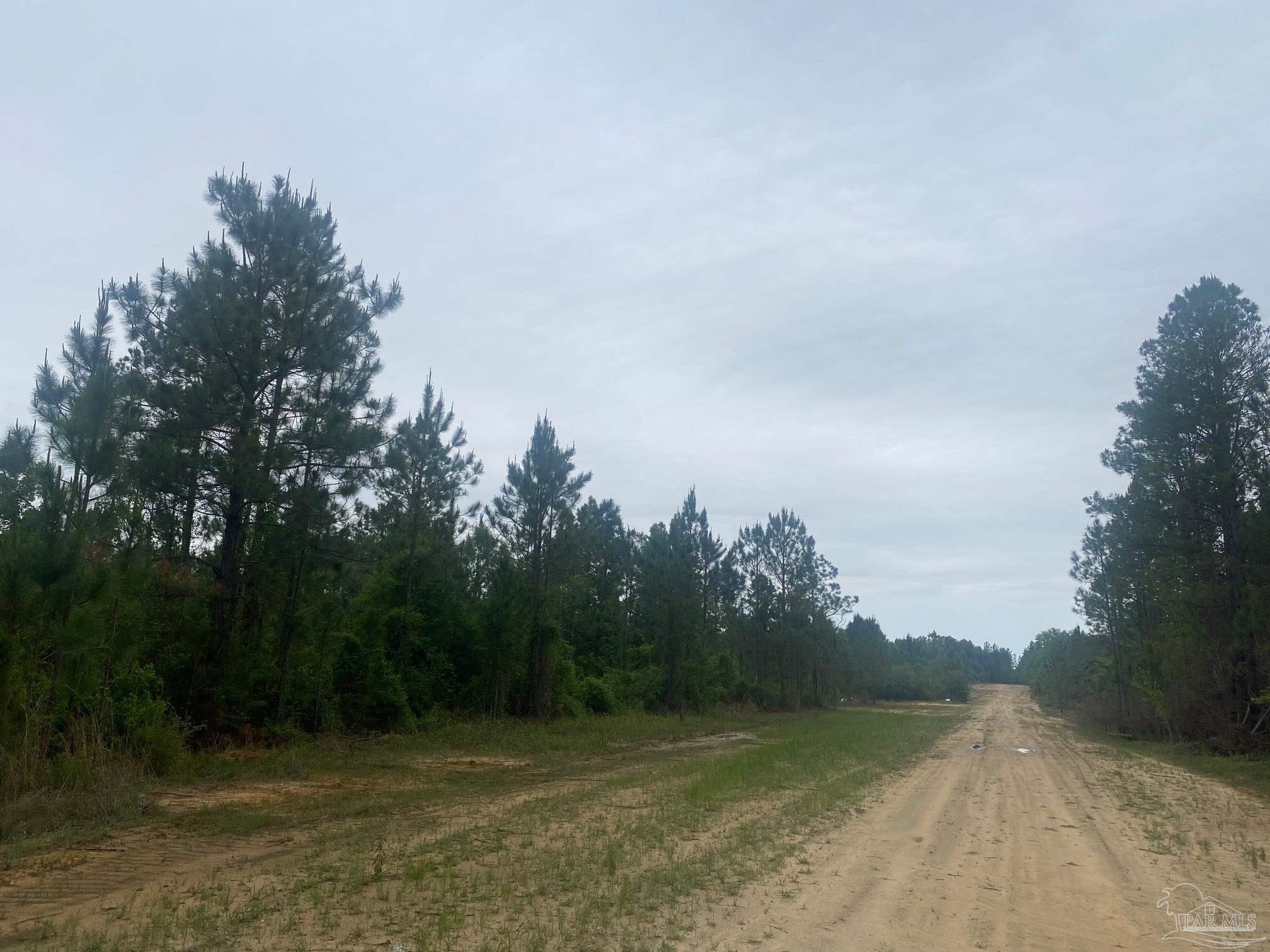 0 Walther Road Milton, FL 32570 - Photo 7 of 11 a view of a field with trees in background