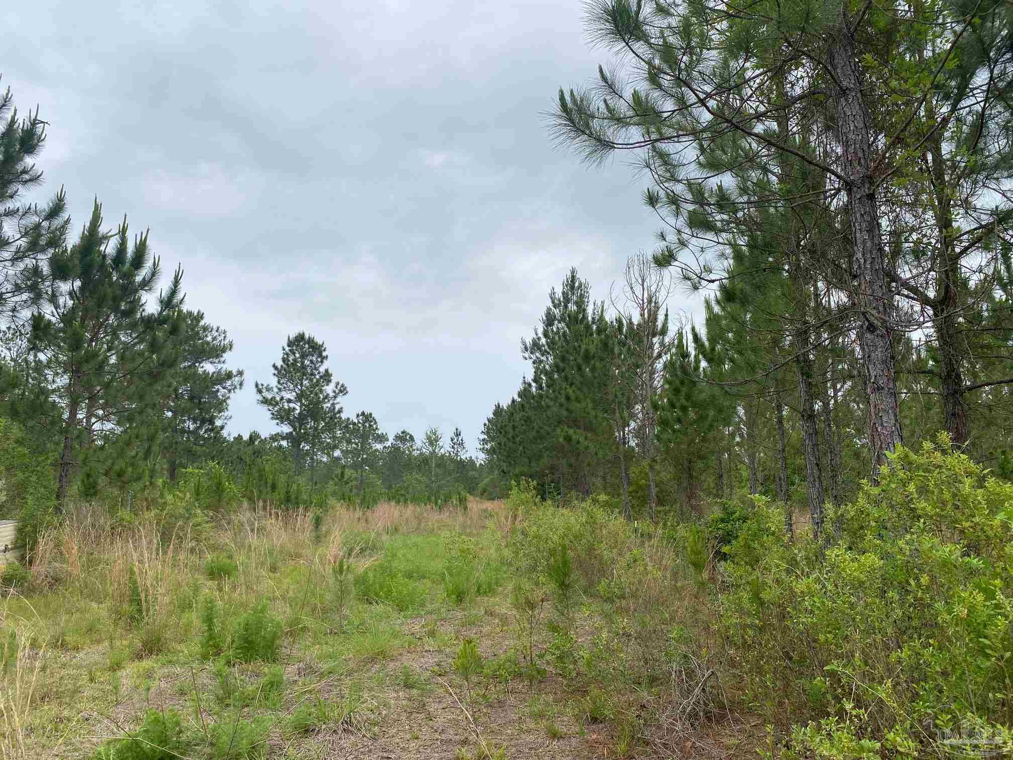 0 Walther Road Milton, FL 32570 - Photo 9 of 11 a view of lake with green space