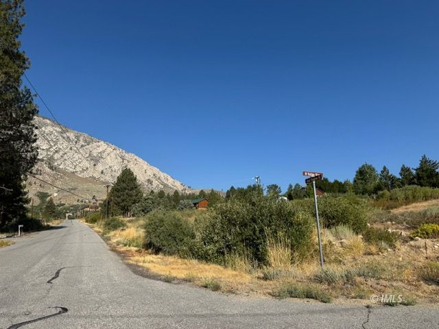 Lot #7 Swall Meadows Road Bishop, CA 93514 - Photo 13 of 17 Road View