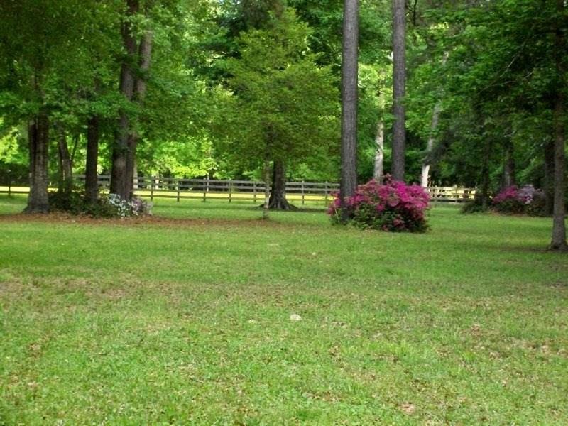 20330 Happywoods Road Springfield, LA 70462 - Photo 24 of 28 Gallery Image 24