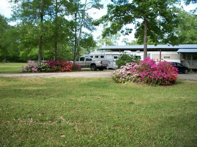 20330 Happywoods Road Springfield, LA 70462 - Photo 25 of 28 Gallery Image 25