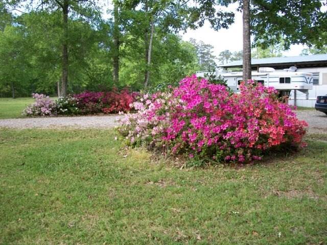 20330 Happywoods Road Springfield, LA 70462 - Photo 26 of 28 Gallery Image 26